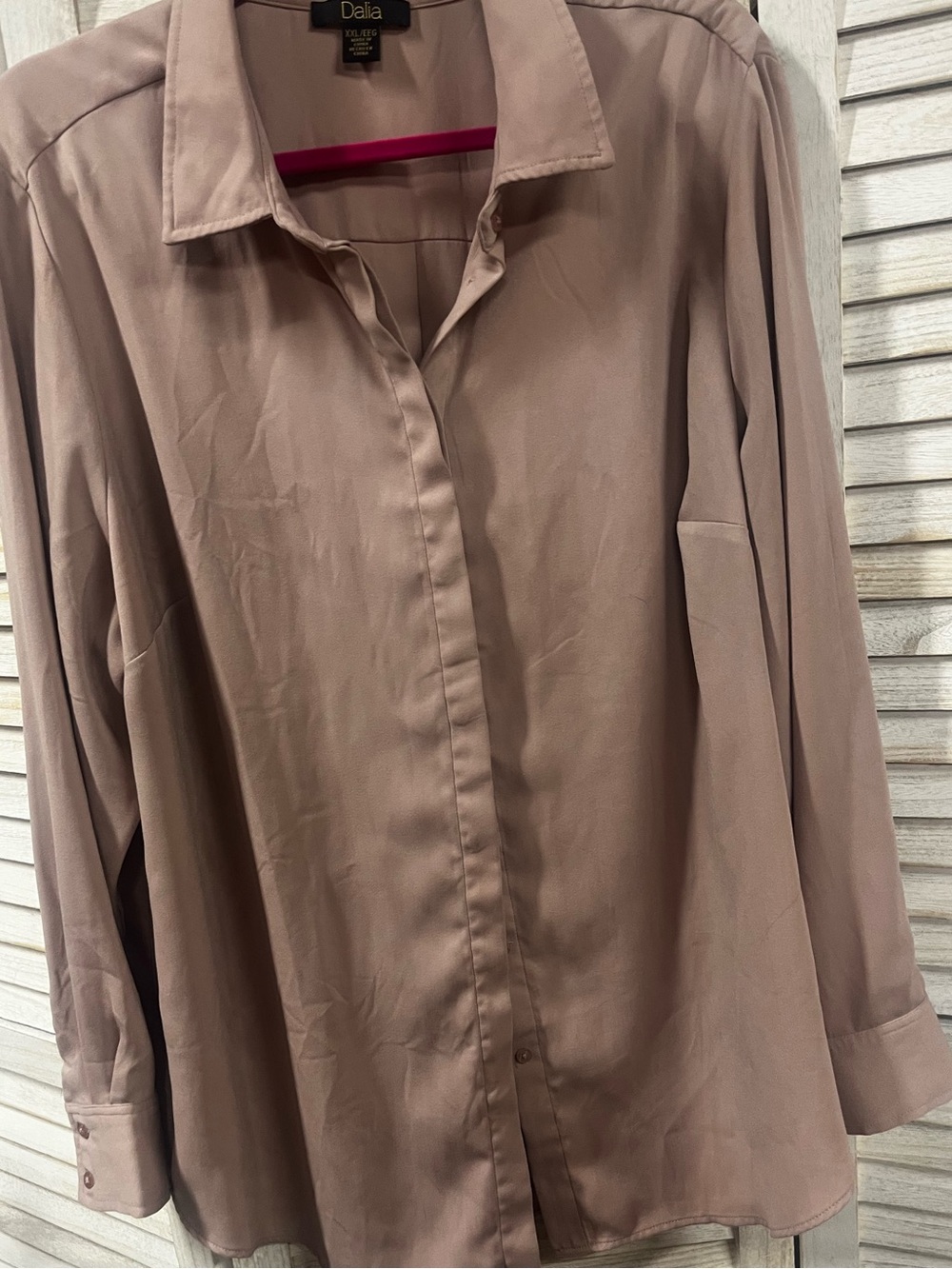 Dalia Women’s XXL Blush Taupe Hidden Button Front Blouse Long Sleeve Career Top